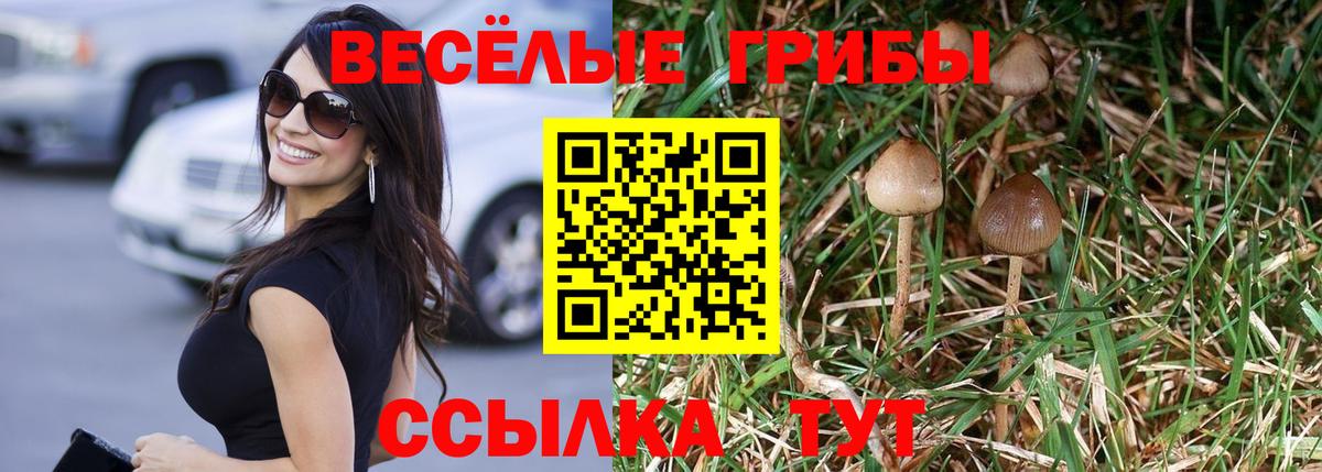 Галлюциногенные грибы Psilocybine cubensis  Галлюциногенные грибы ЛСД  Вход с VPN  Обнинск 