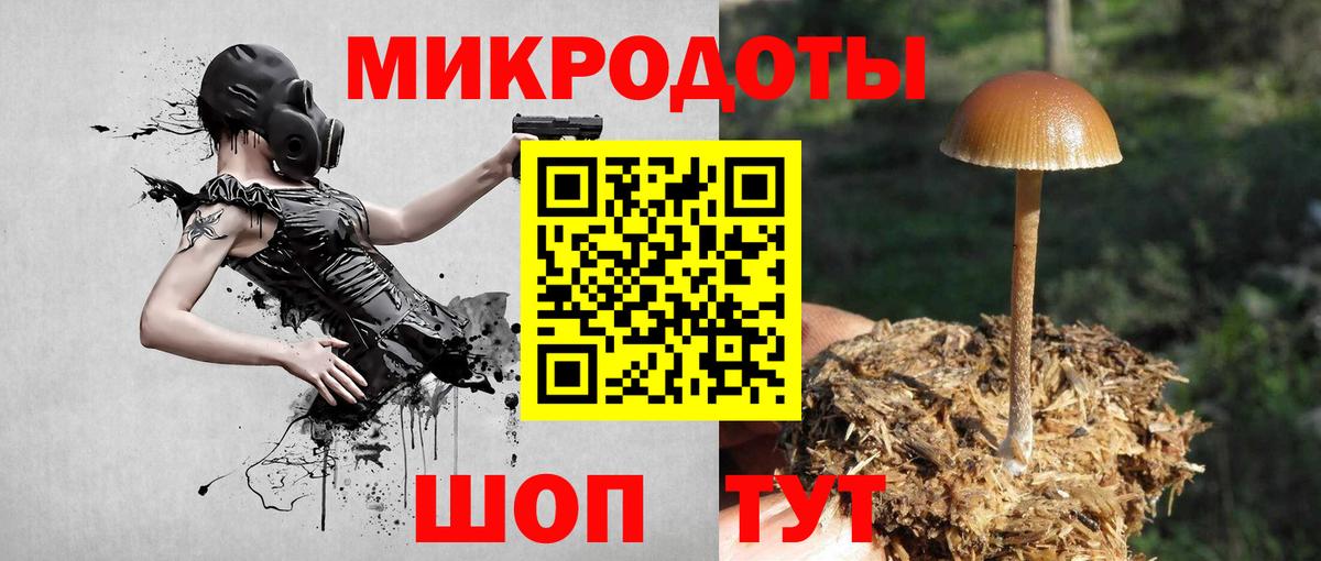 Псилоцибиновые грибы ЛСД Обнинск